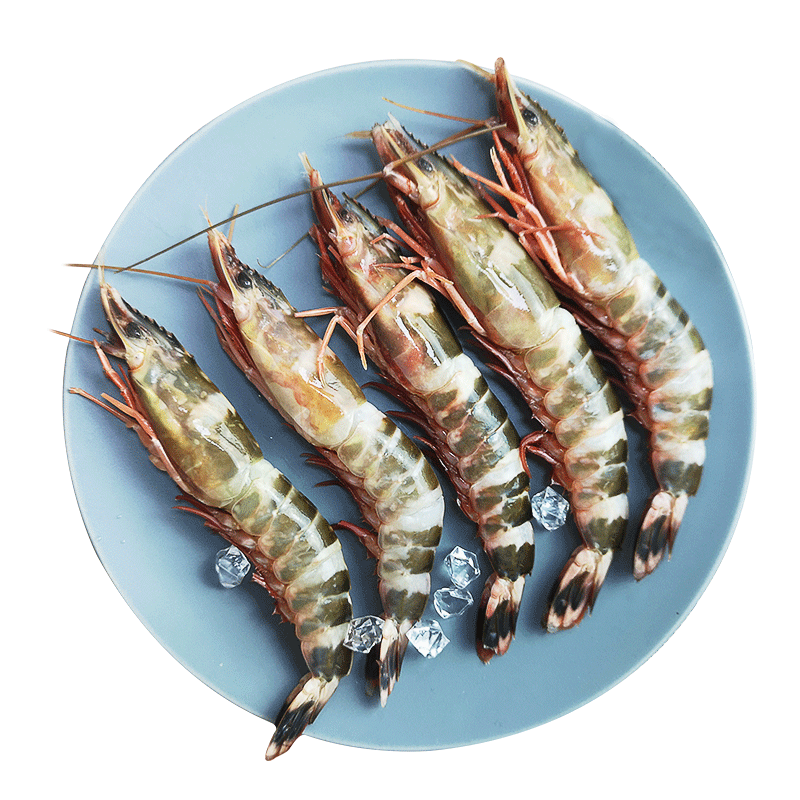 越南虎猫虾400g盒鲜活速冻大黑虎虾海鲜水产九节虾老虎斑节虾