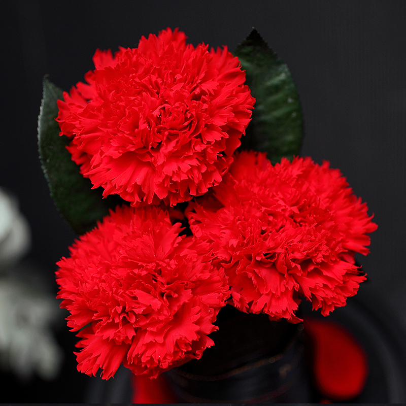 para ella 004系列 3朵多色进口玫瑰花康乃馨永生花玻璃罩礼盒国庆节