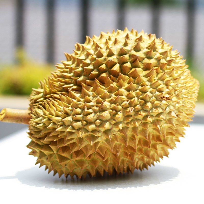 单果2-3斤试吃装 泰国特级金枕榴莲特大果13-2斤进口水果当季现摘非猫