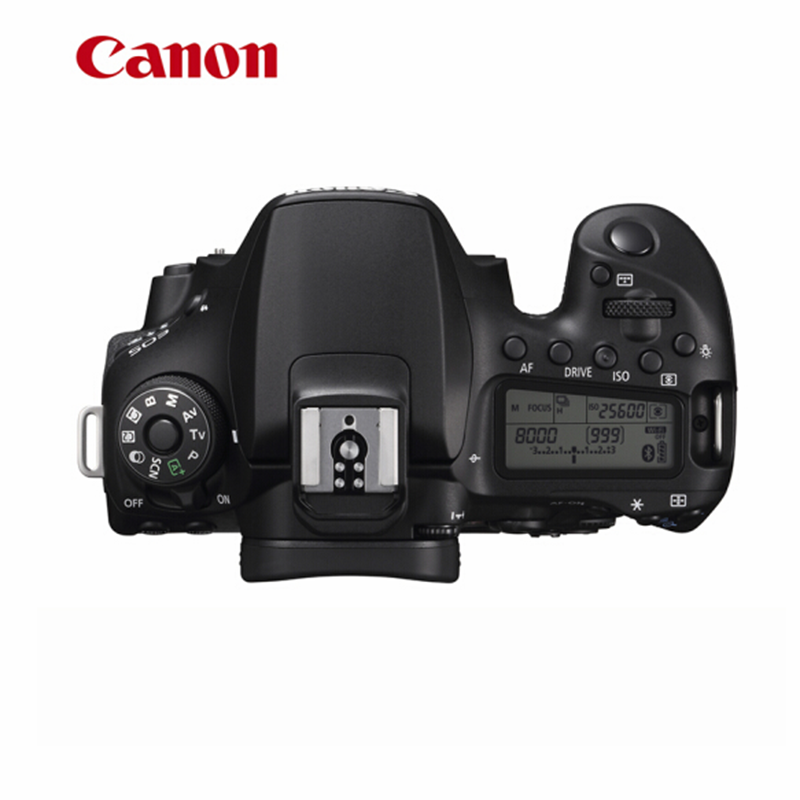 佳能(Canon)EOS 90D含Tamron18-200 镜头 3250万有效像素 广角长焦 一镜走天下