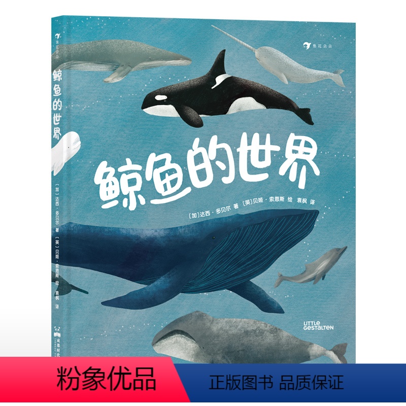 单本全册 [正版]浪花朵朵 鲸鱼的世界 7-10岁 知识性与艺术性兼具的高颜值科普图册 海洋生命科普 后浪童书