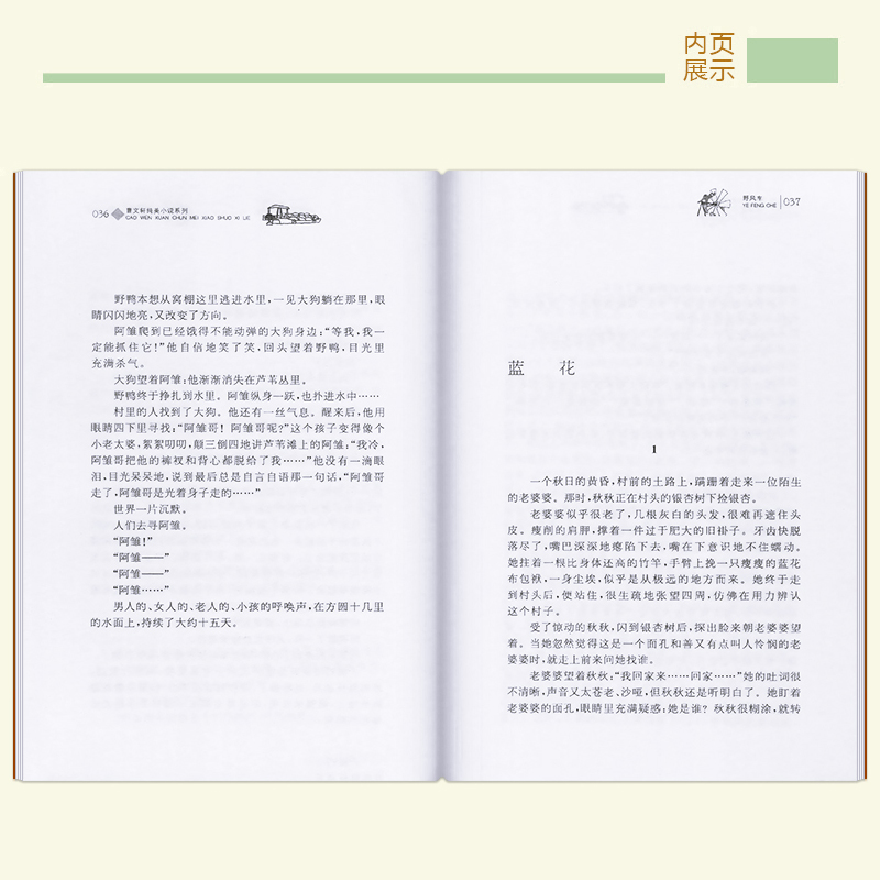 [正版]野风车全套曹 纯美小说系列 初中小学生课外阅读 书籍三四五六年级经典书目江苏凤凰少年儿童出版社安徒生儿童文学高清大图