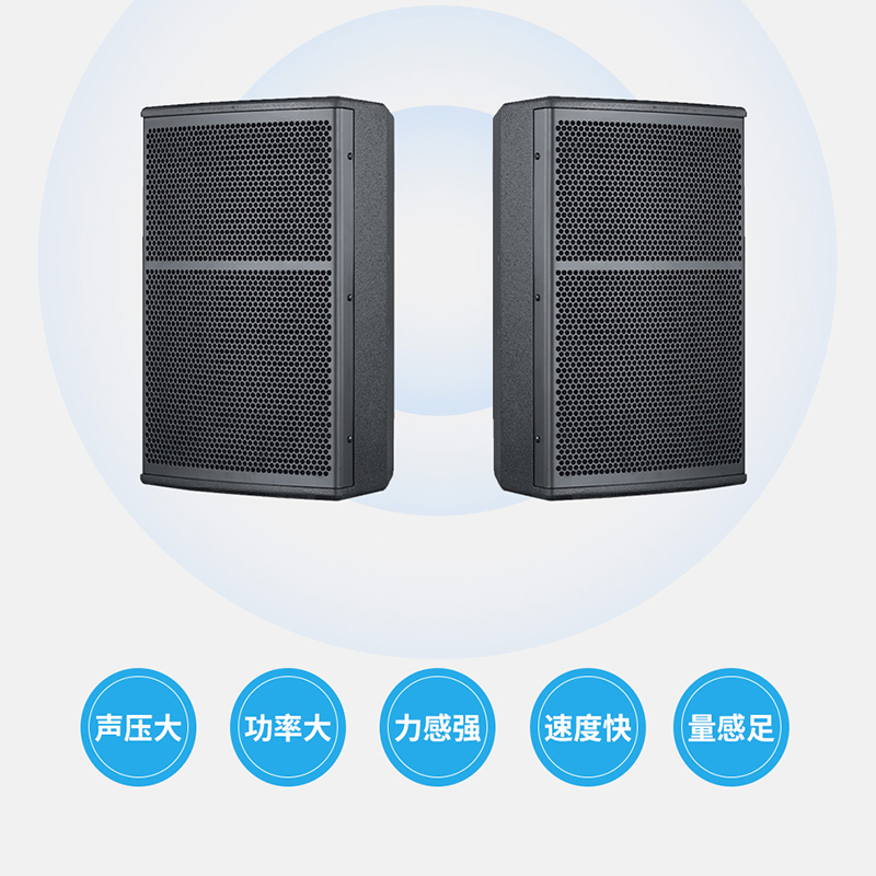 润普RP-HYX608 国产化音视频会议室展厅教室礼堂报告厅8英寸全频会议音响/音箱/喇叭扬声器高清大图
