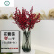 发财果红果子假花客厅落地装饰摆设摆件北欧北美冬青浆果仿真花 封后 10支9叉特惠套装
