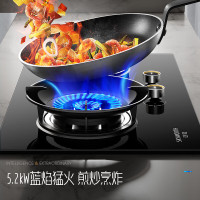 创维(Skyworth)燃气灶双灶 家用5.0kW猛火九孔聚能定时灶爆炒鸳鸯灶具 台式嵌入式灶台 Z211B液化气