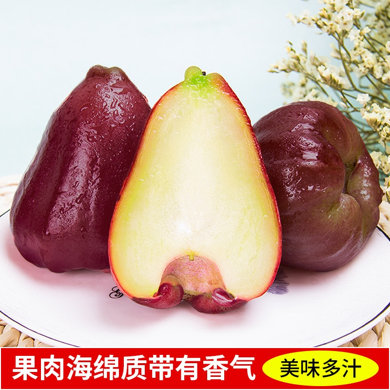 [熊猫鸟]海南黑金刚莲雾 热带水果 净重2.5斤 大果 单果80-120g 当季水果 现摘现发 清甜爽口高清大图