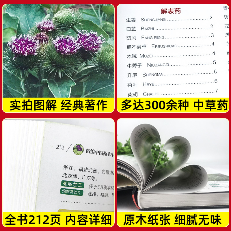 [正版]精编中国药典中药原色图谱精装选材常见贴近生活实用强中国药典中药材及混伪品彩色图谱中草药彩色图鉴大全集