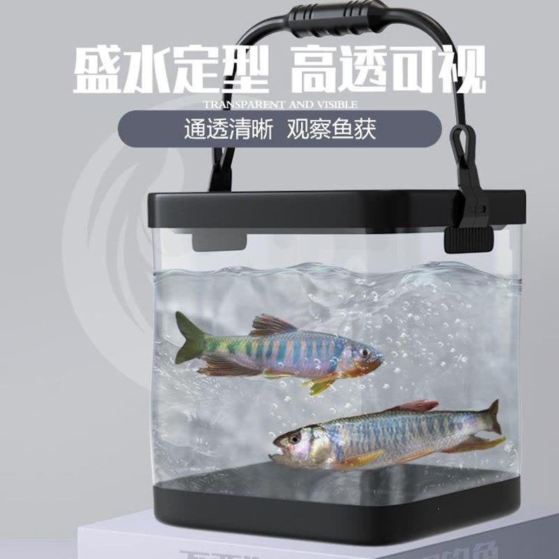 闪电客小物钓活鱼桶一体成型溪流增氧泵打水桶野钓手提透明可折叠鱼护桶图片
