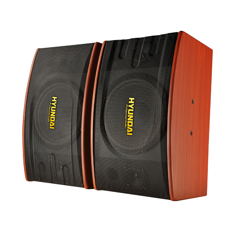现代hyundaihy10v卡包音响ktv音响家庭影院组合套装会议客厅卡拉ok