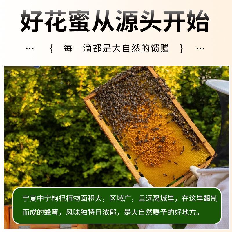 杞果小圣枸杞花蜜商务装280G