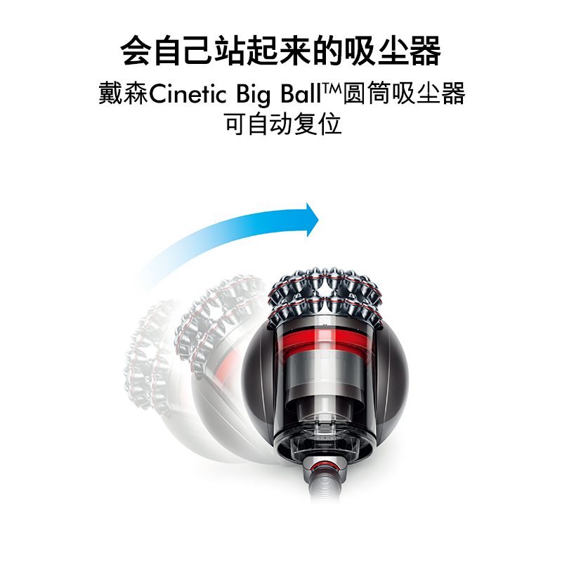 戴森(Dyson) CY22吸尘器 卧式家用 无尘袋 圆筒 干式1300W功率 吸尘机有助吸附小颗粒 扫地机