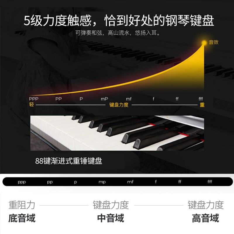 朗动(LMOVE)智能立式电钢琴MS-830 木纹款 电子数码钢琴88键全重锤三踏板专业演奏电钢琴+原装配套配件