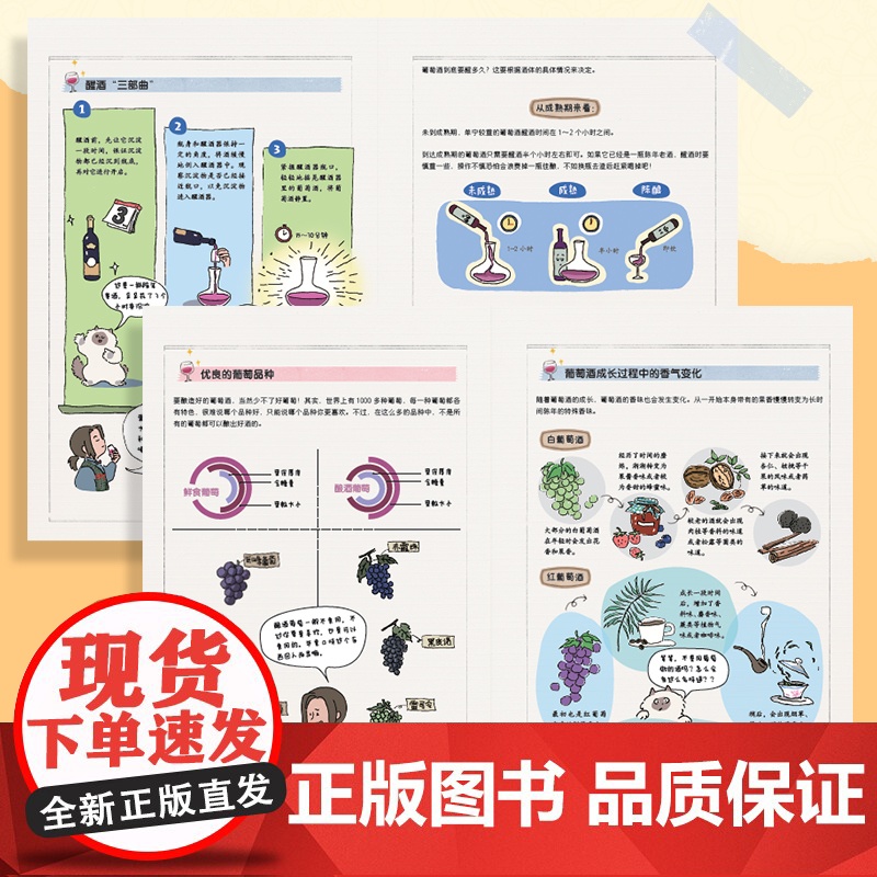 如何假装懂葡萄酒 葡萄酒漫画小百科 品酒红酒知识漫画科普趣味 葡萄酒小白基础知识入门教程高清大图