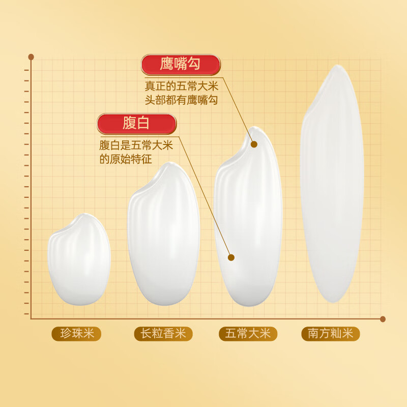 十月稻田苏北大米五常基地生态种植非转基因颗粒饱满香软可口高清大图