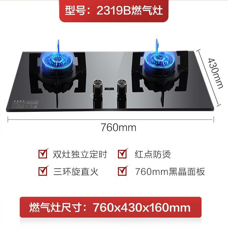 好太太燃气灶天然气灶 2319B 家用双灶 台式嵌入式 自营 定时燃气灶 天然气灶家用煤气灶液化气灶具(液化气)