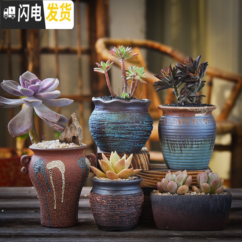 三维工匠多肉花盆粗陶透气复古陶瓷大口径创意盆景盆肉肉花盆 款式13[4个] 中等花盆容器高清大图