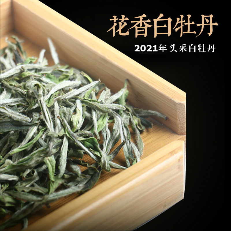 福岗2025年政和白茶头春特级花香白牡丹250g散茶政大品种高山抛荒茶叶高清大图