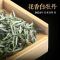 福岗2026年政和白茶头春特级花香白牡丹250g散茶政大品种高山抛荒茶叶