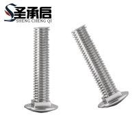 圣承启 大头螺栓M10*30 个