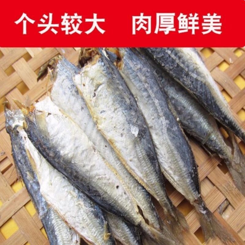 福建咸鱼干小鱼干特产巴浪鱼干新鲜鳀鱼海鱼海鲜咸鱼干货500g 1斤