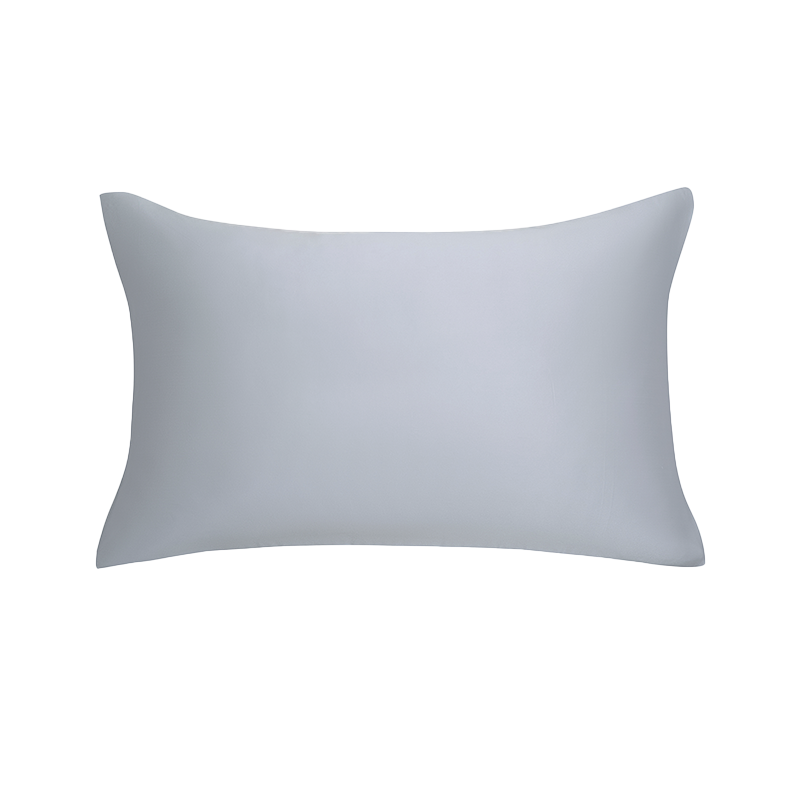 LA MAISON DE SASHA 19姆米双面真丝枕套 100%桑蚕丝枕套纯色经典简约丝滑枕芯内胆套 灰色 48*74cm