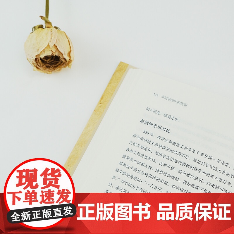 多极亚洲中的唐朝 王贞平 著 历史高清大图