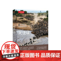 美丽的地球 大迁徙 地球上伟大的生命旅程 本 霍尔 著 生物世界 科普读物 书籍 中信