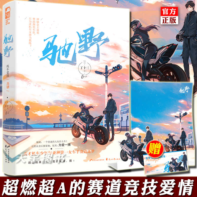 [正版]赠立卡+海报等 驰野 丁十三 大鱼文化女生都市青春文学热血赛车竞技爱情超甜高甜宠文言情小说书籍高清大图