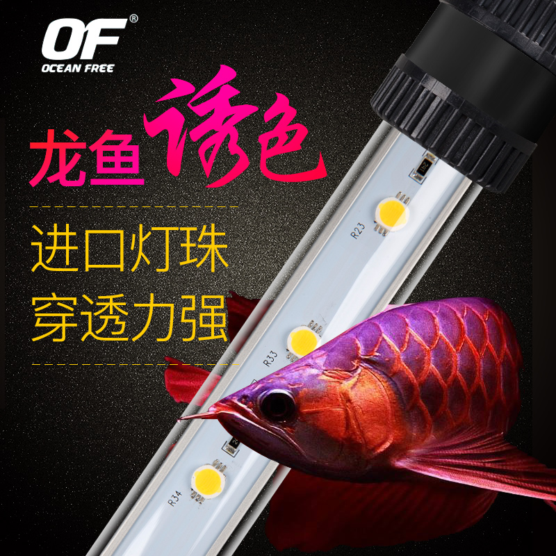 仟湖龙鱼专用led潜水灯防水日光灯鱼缸灯红龙金龙鹦鹉鱼增色灯高清大图