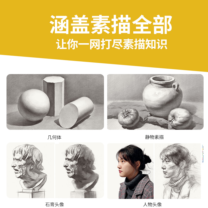 [醉染正版]讲透素描一本通 零素描基础教程美术绘画书籍教学材临摹范画画入门新手自学铅笔手绘静物单体组合石膏几何体人物头像高清大图