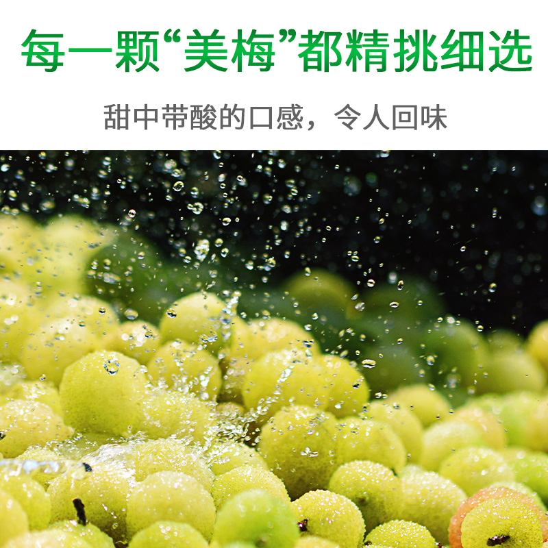海天冰梅酱260g*2瓶 广东烧鹅烧鸭烤肉酸梅酱商用青梅酱梅子调味酱高清大图