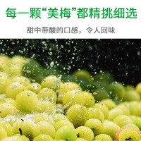 海天冰梅酱260g*2瓶 广东烧鹅烧鸭烤肉酸梅酱商用青梅酱梅子调味酱