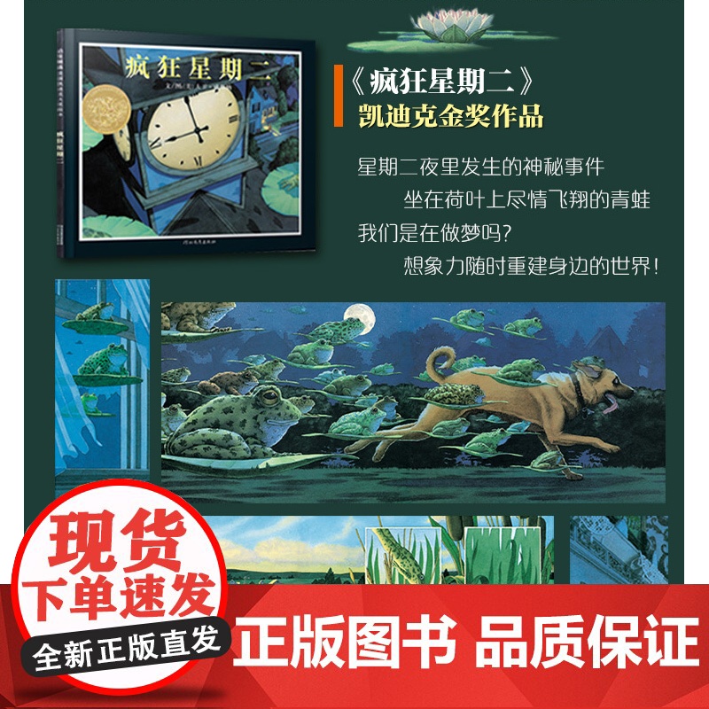 童书 海底的秘密 凯迪克金奖绘本 老师3-6-8岁幼儿园一二年级上下册快乐读书吧儿童早教启蒙睡前故事高清大图
