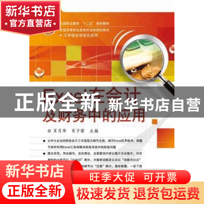 正版 Excel在会计及财务中的应用 肖月华,肖子蕾主编 电子工业出图片