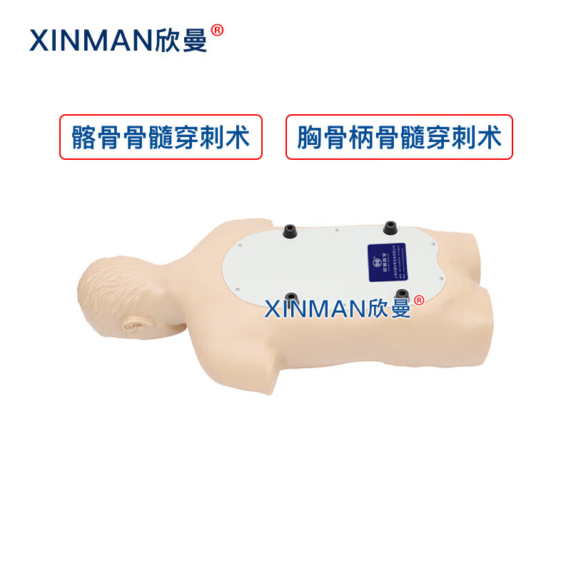欣曼科教 骨髓穿刺模拟人 骨髓穿刺训练模型 医学教学人体模型XM-1011高清大图