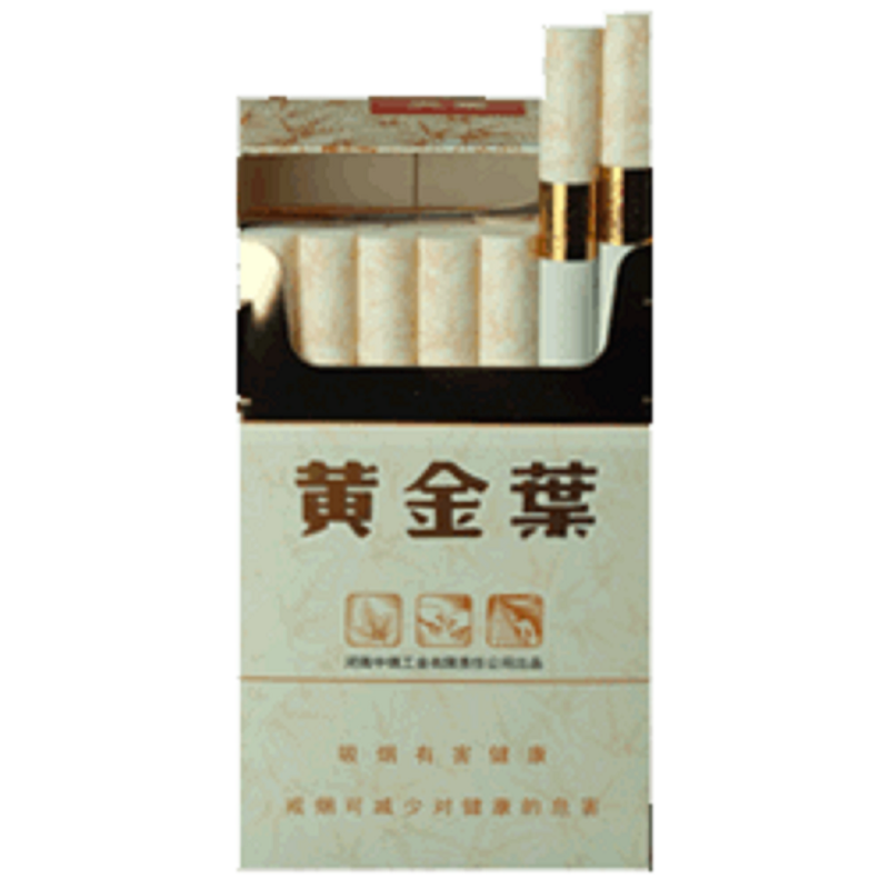 黄金叶(天叶)