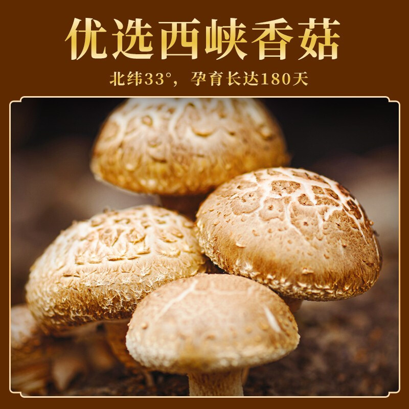 仲景麻辣香菇酱230g高清大图