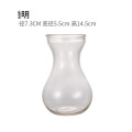 权夫人风信子水培植物花瓶创意水培容器透明玻璃瓶花盆瓶插养花植物器皿_1