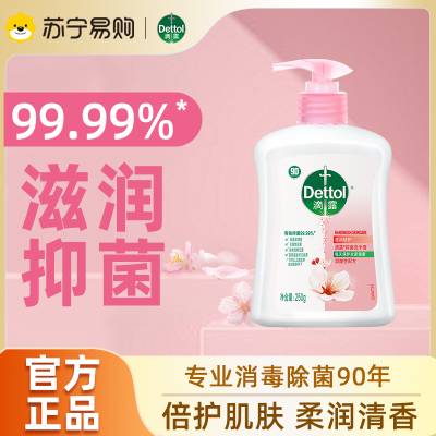 滴露健康抑菌洗手液(滋润倍护)250mL