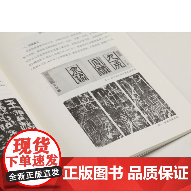 篆书基础知识 任政钱沛云书法知识丛书楷书行书草书隶书篆书用笔原理基本点画分析总结演化历程书法史 上海书画出版社高清大图