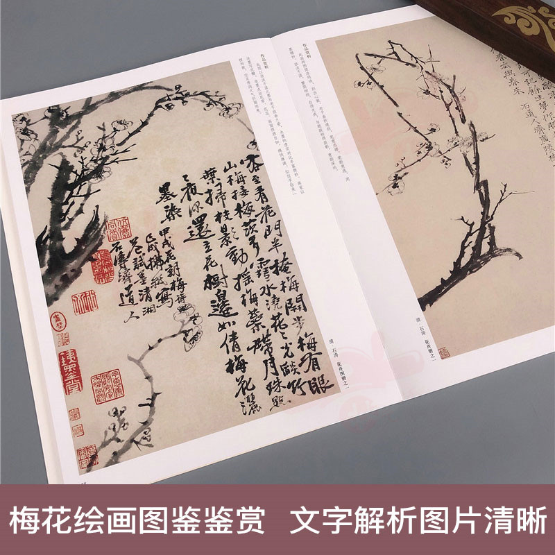 [醉染正版]中国历代绘画百图 梅花 苏百钧主编名家名画梅花作品集宋明清代水墨梅花临摹范本古代绘画大师画册梅花画集河南美术高清大图