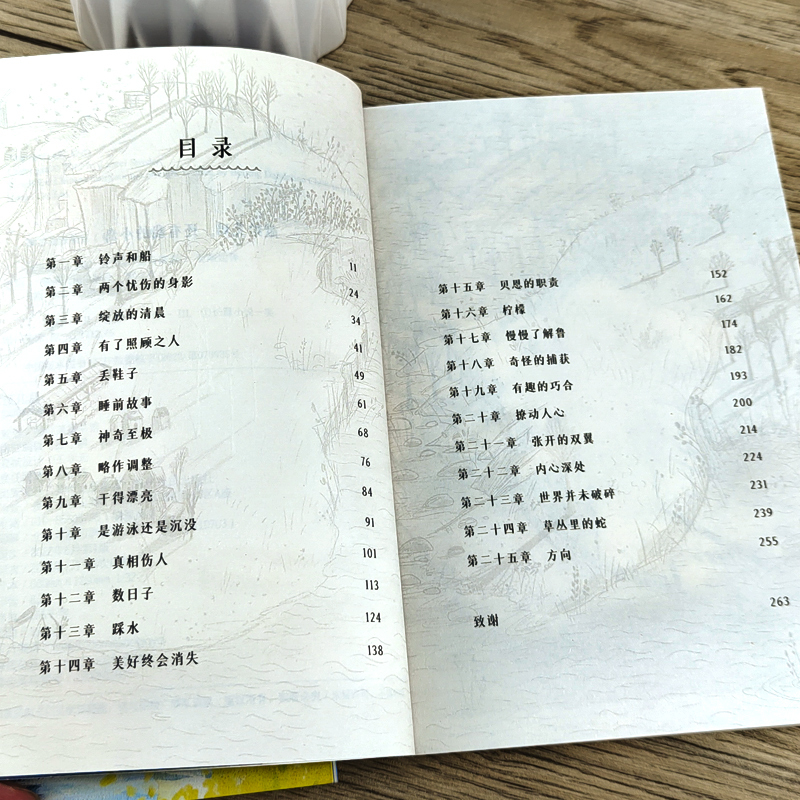 城市之光 [正版]孤儿岛 五年级百班千人暑假阅读书 小学生课外书必读书籍 劳雷尔•斯奈德 著 祖庆说大阅小森 长江少年儿