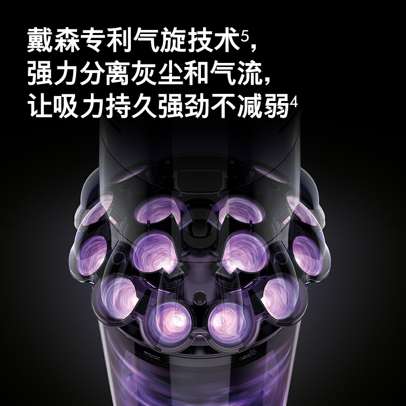 戴森(Dyson)无绳吸尘器 V10 Fluffy Extra 手持吸尘器家用桌面除螨宠物充电多功能家庭适用[官方正品]