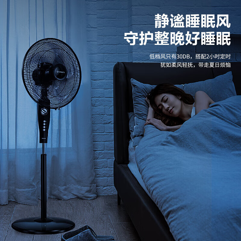 艾美特(AIRMATE)五叶家用电风扇大风量机械立式落地扇轻音节能柔风定时电扇宿舍降温风扇 FSW65T2-5