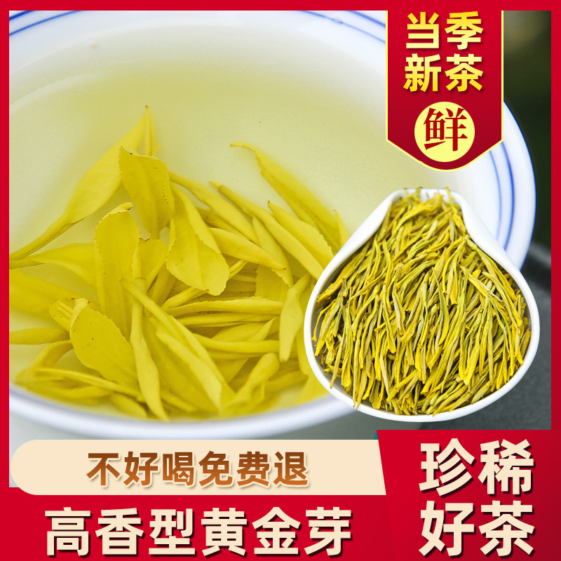 中闽与恩白茶黄金芽2025年新茶明前特级春茶茶叶250g罐装散装绿茶茶叶