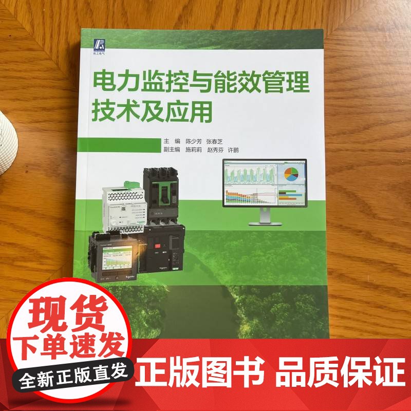 电力监控与能效管理技术及应用 陈少芳 张春芝 RS485 以太网通信 施耐德 Eco Struxure Po高清大图