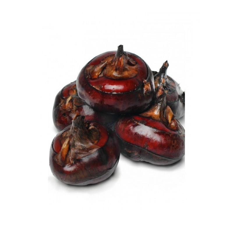 博多客 安徽特产新鲜马蹄2.5kg大号荸荠红地栗地梨蔬菜