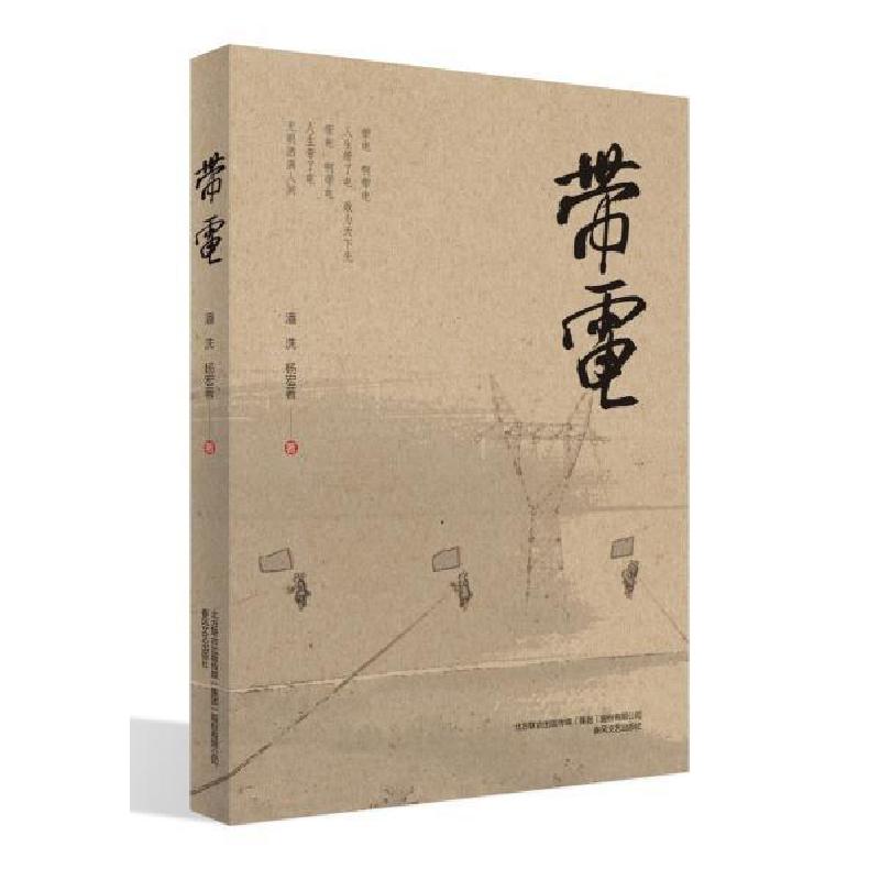正版新书]带电潘洗//杨宏|责编:姚宏越9787531356905高清大图