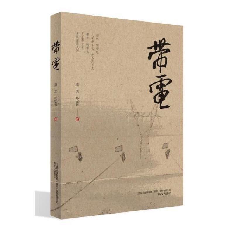 正版新书]带电潘洗//杨宏|责编:姚宏越9787531356905图片