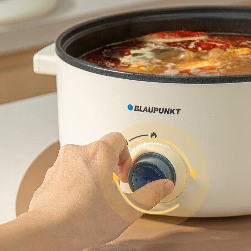 蓝宝(BLAUPUNKT) BP-DZG20 多功能电煮锅 电火锅家用3.5L大容量高清大图